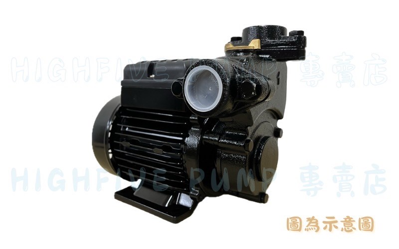 達龍-TP3_N 塑鋼不生銹抽水機/傳統式抽水機
