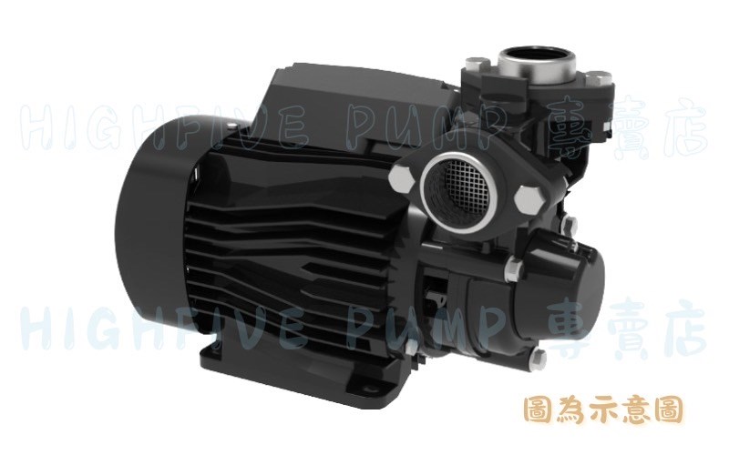 達龍-TP3_N 塑鋼不生銹抽水機/傳統式抽水機